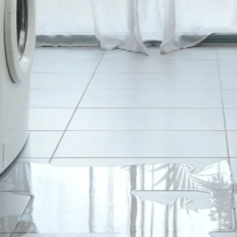 Appliance Leak Cleanup in Boone County, IL