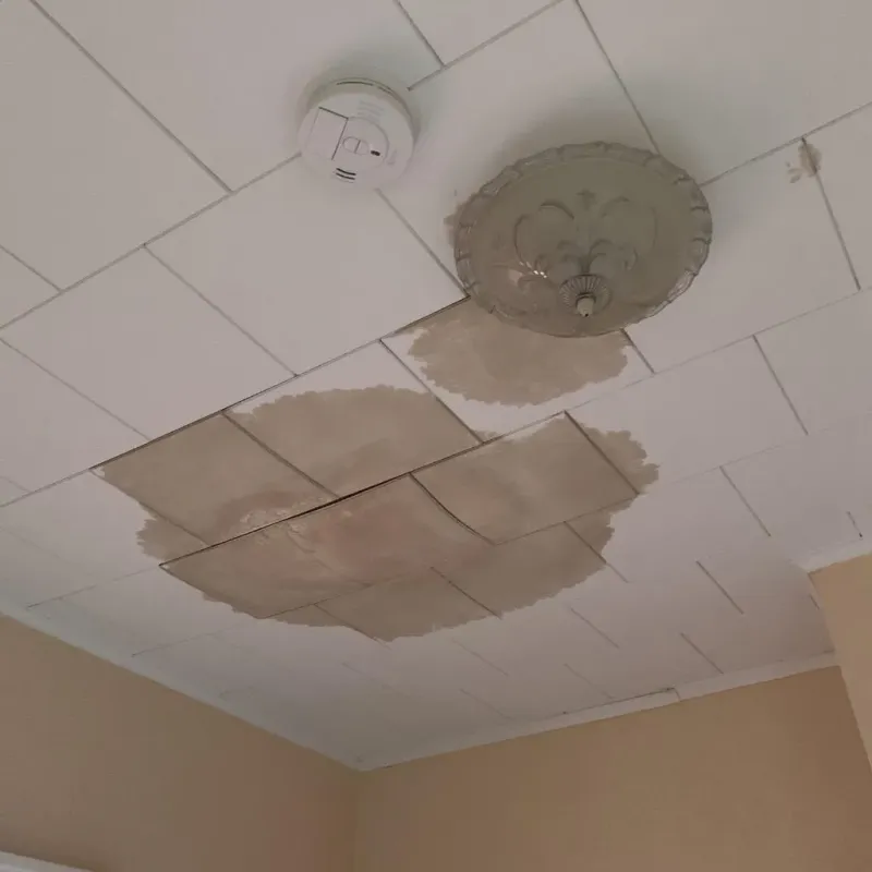 Ceiling Water Damage Repair in Boone County, IL