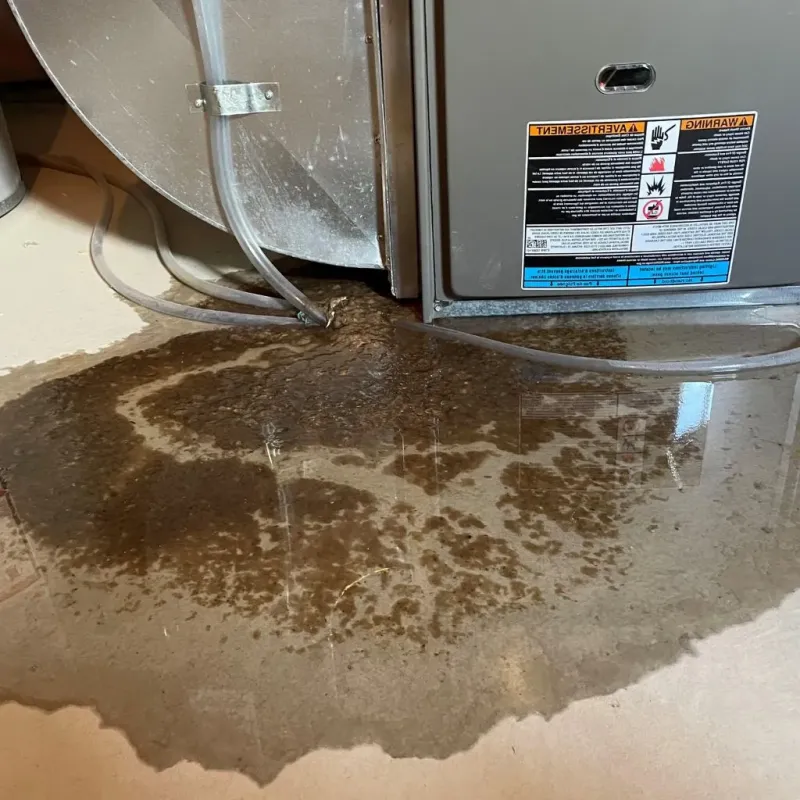 Pipe Burst and Leak Restoration in Boone County, IL