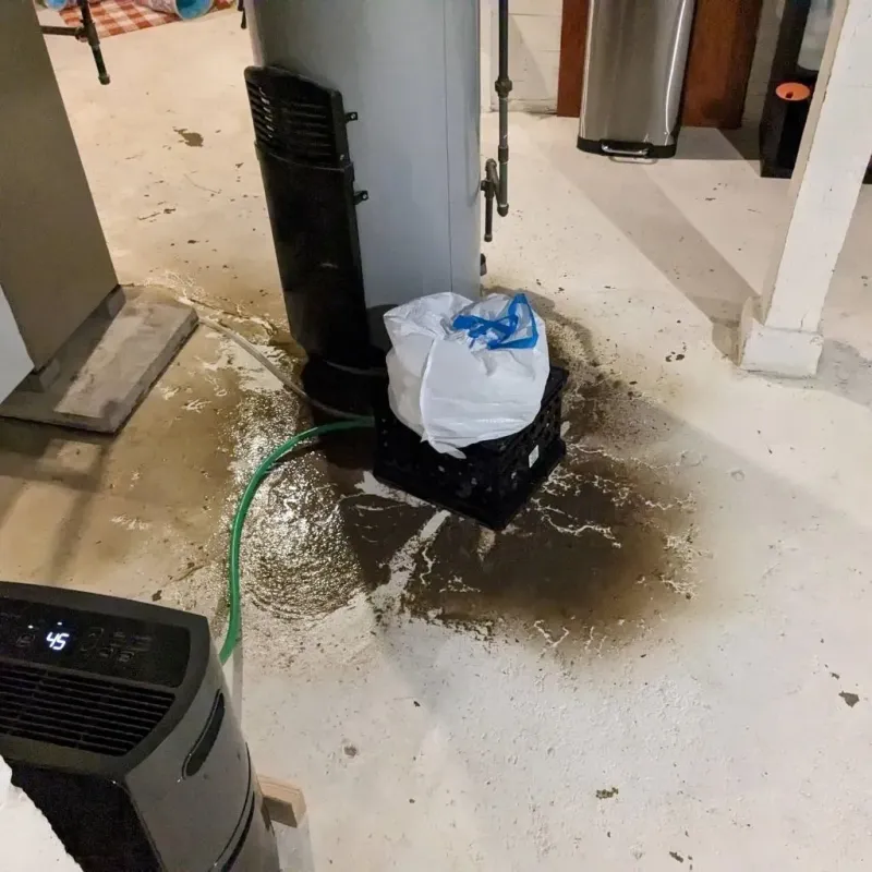 Sewage Backup Cleanup Service in Boone County, IL